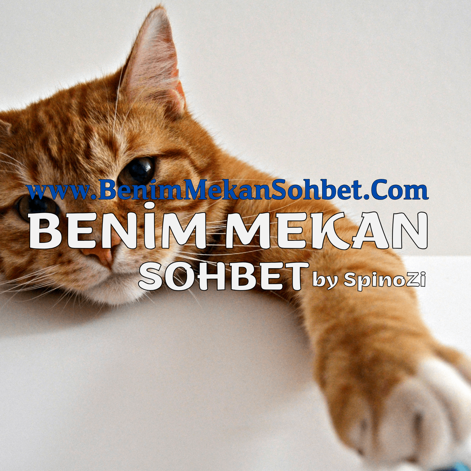 Benim Mekan